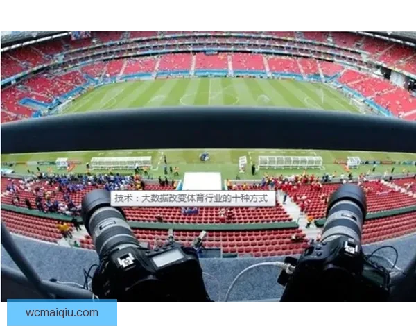 基于大数据与模型预测的世界杯竞猜走势分析与投注技巧研究